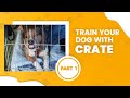 How to Crate Train a Puppy | Part 1 | SolidK9Training
