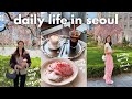 virginia & seoul vlog 🌸 introducing my fiancé to my parents, famous tissue bread, han river picnic