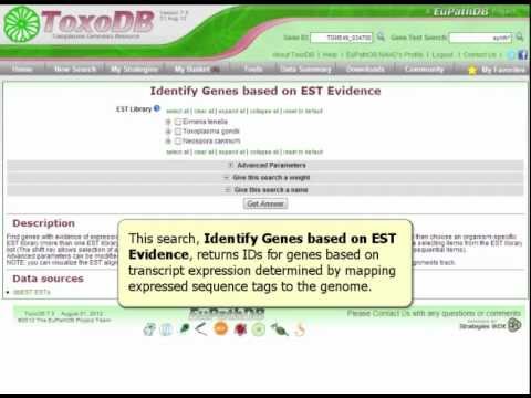 Identify Genes based on EST Evidence