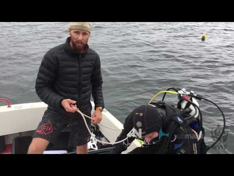 Haie in Ostsee & Nordsee filmen – Hai-Kamera-Test mit Robert Marc Lehmann von Submaris & WWF