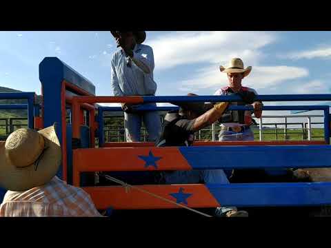 Treino com Touros | Rancho Claudeny dos Santos