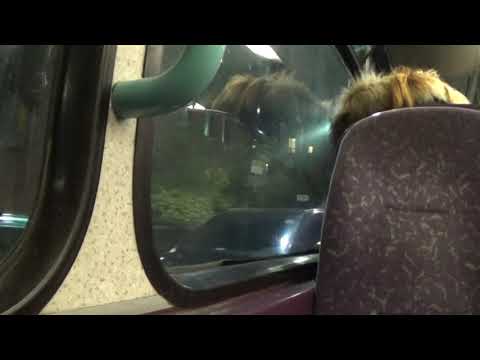 Kickdown - 6-speed Volvo B7TL LK55ABF - Metroline VW1570