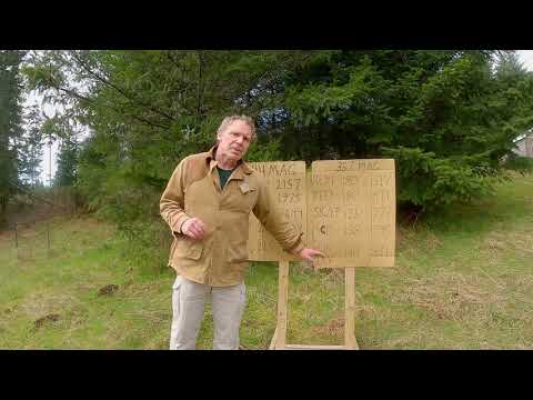357 Magnum vs 44 Magnum Carbines