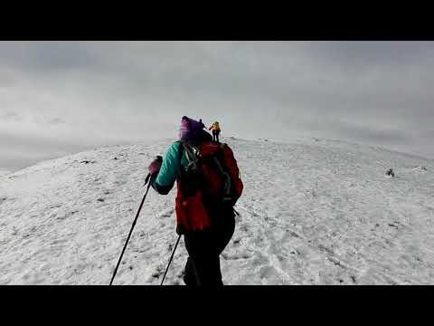 Muntele Diacu  06.01.2018