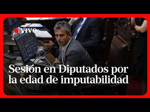 EN VIVO | Reforma penal juvenil en Diputados: proyecto de baja de imputabilidad a 14 años