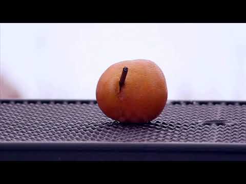 Little Grace (lyrics) -Hippo Campus