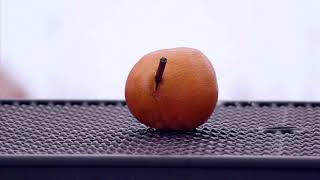 Little Grace (lyrics) -Hippo Campus