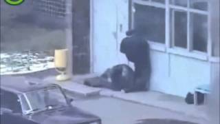 BIRTIJA - Nije mnogo ostalo ovakve gospode (Live)