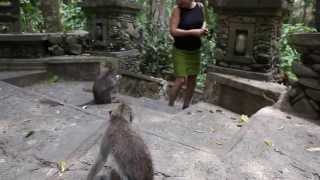preview picture of video 'bali // sacred monkey forest ubud sanctuary (2/2)'