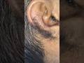 ASMR Ear Hair Remove With Barber Asmr Barber Haircut