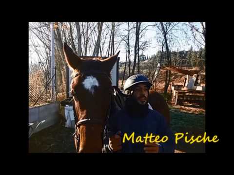 FANTINI AUGURI DI NATALE 2016