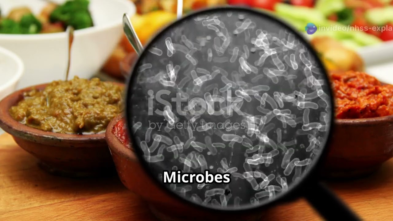 Ch.2 Microorganisms | Science Grade 8 | Scholar Explainers