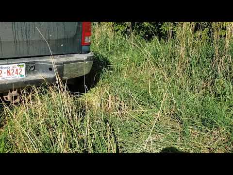 Comp Cam 54-469-11 Idle