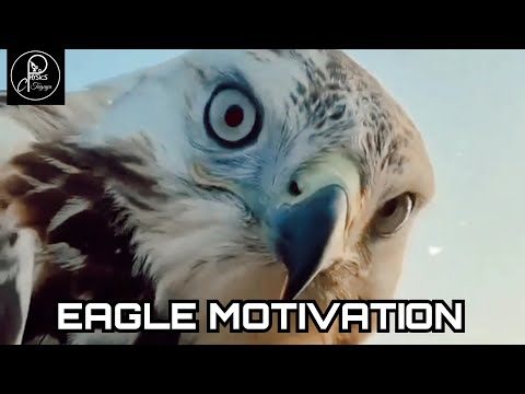 When the Eagles are Silent , the Parrots are begin to Jabber #cptagaya #motivation #ytshorts #shorts