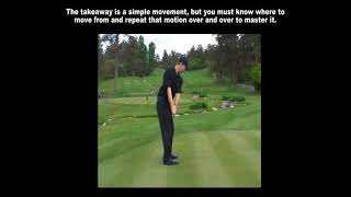 How the Brain Learns the Golf Swing: Insights from Karate Kid
