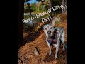 Best Of Upstate NY Hiking Part 1 Sleeping Beauty Mountain