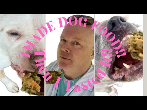 I Made Dog Food!! Then I Tasted It!!