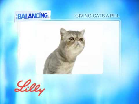 The Balancing Act Show 1156 - Lilly Companion