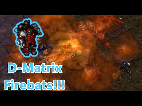 NONSTOP EPIC! Larva 🇰🇷 (Z) vs TY! 🇰🇷 (T) on Metropolis! - StarCraft - Brood War - 2025