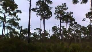 preview picture of video 'Florida Travel Vlog Day 9: Jonathan Dickinson State Park, Hobe Sound, FL'