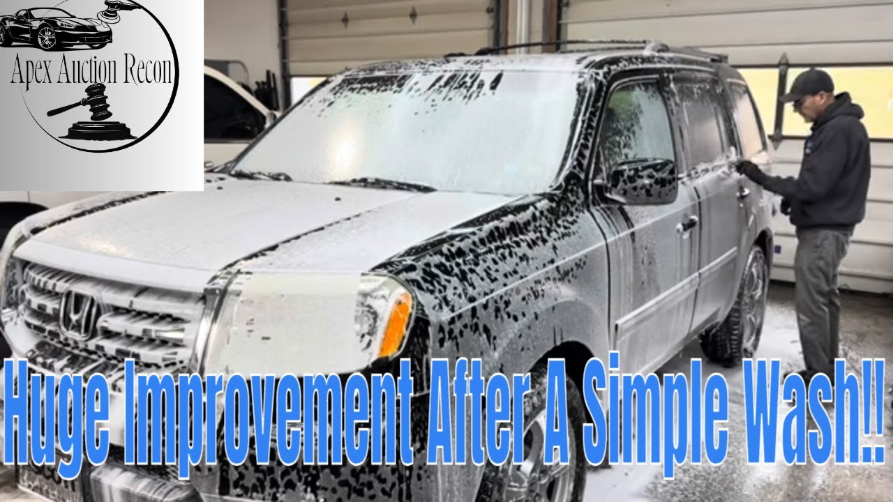 This Is How I Wash Auction Cars That Have Not Been Washed In Years!!