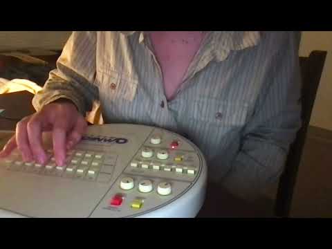 adventure time cover on omnichord