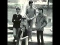 The chameleons - Is it any wonder