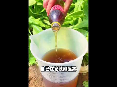 種菜五种水，勝过千种肥，在家裡就可以自己配出來，方便又實用