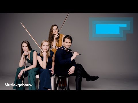 Dudok Quartet Amsterdam Trailer concert Muziekgebouw 24 nov 2018