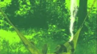 It's Gonna Be Easy- Doug Sahm