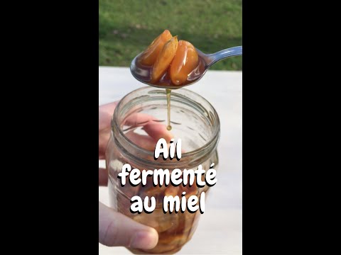 , title : 'Ail et gingembre fermentés au miel'