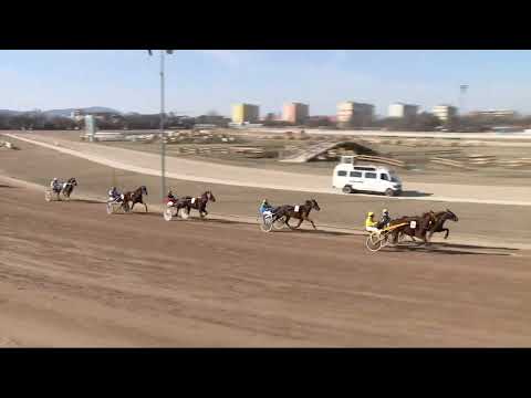 2022.03.12. 02. futam - REDWOOD VITA DÍJ