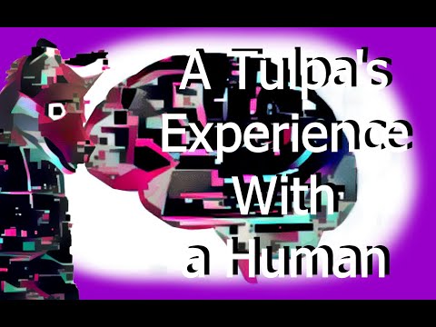 A Tulpa's Experience with a Human