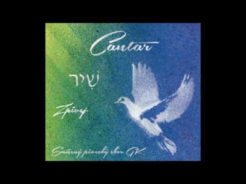 (11) Nikdy nic nikdo nemá - Jaroslav Ježek