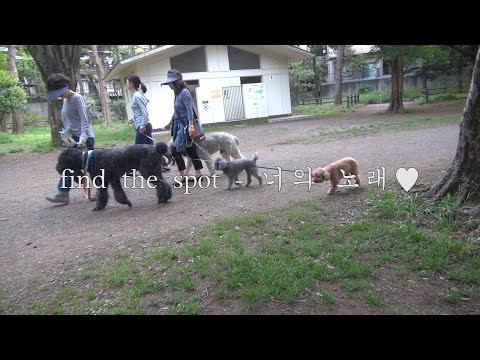 FIND THE SPOT - 너의 노래 (PV)