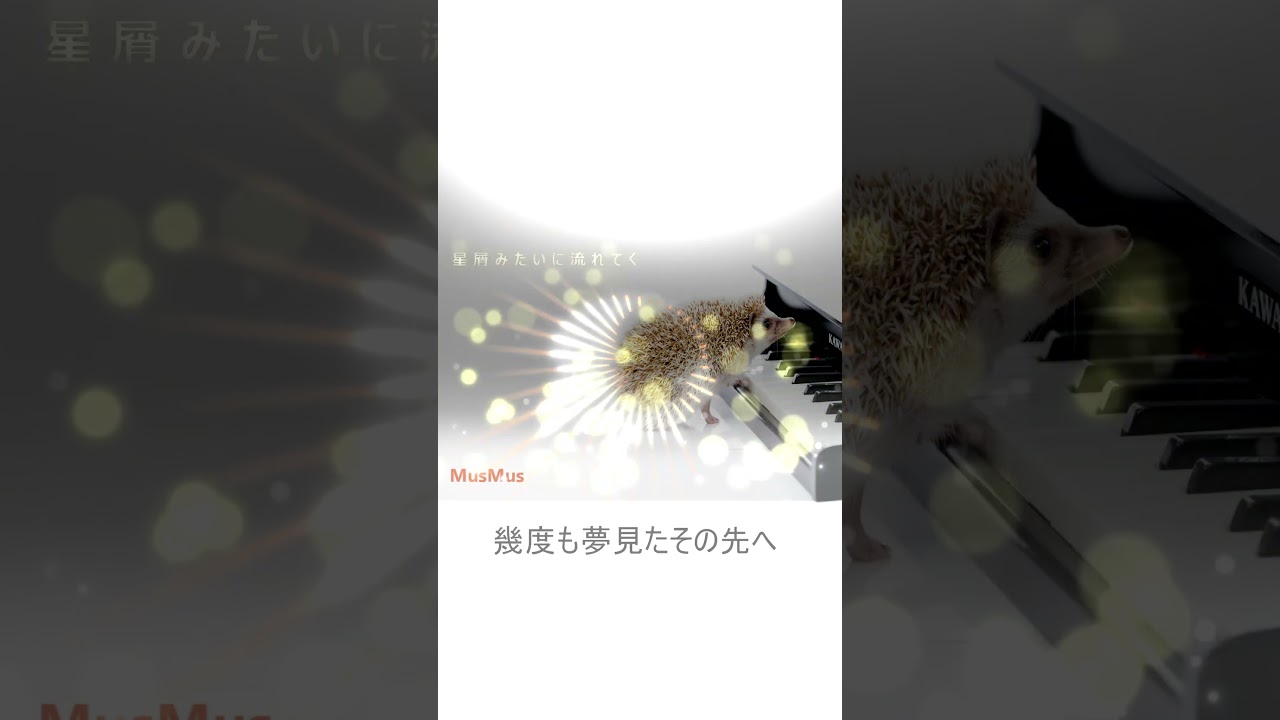 星屑みたいに流れてく / MusMus