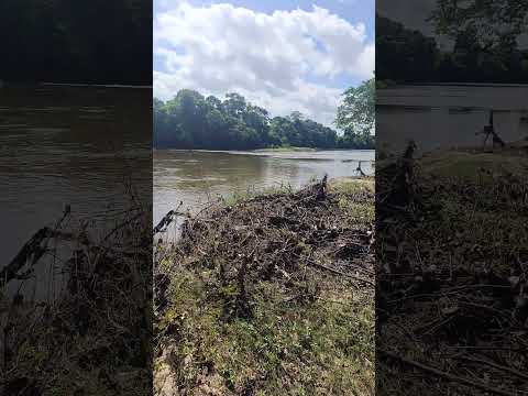 Rio Itapicuru é um dos afluentes importantes da Bahia