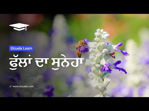 PB | Class 6 | Punjabi | Chapter 26 | Fullan Da Suneha (PSEB)