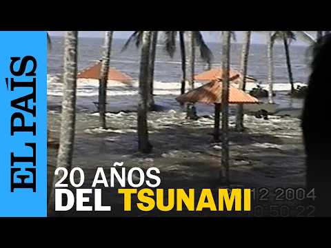 TSUNAMI | 20 years since the Indian Ocean tsunami: a tragedy with 200,000 deaths | EL PAÍS