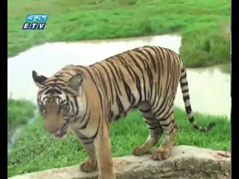 গাজীপুরে বিকাশ ঘটছে পর্যটন শিল্পের