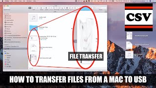 How to TRANSFER Files from a Mac to USB - Basic Tutorial | New (2022)