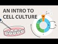 1 Cell Culture Tutorial An Introduction