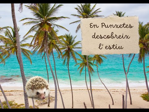 CONTE PUNXETES ESTIU