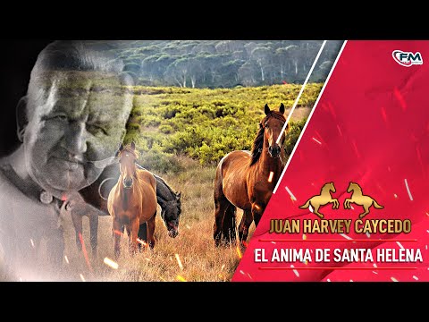 El Anima de Santa Helena - Juan Harvey Caycedo | Vídeo Oficial