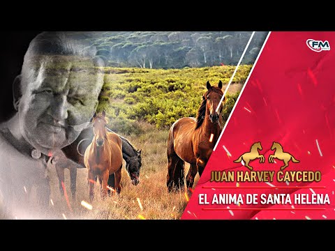 El Anima de Santa Helena -  Juan Harvey Caycedo |  Vídeo Oficial - Remasterizado