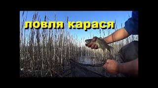 Ловля карася рука делать
