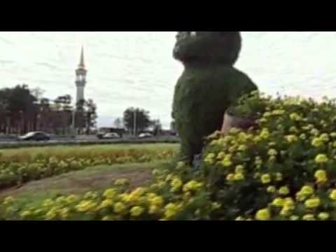 Alexandru Pelin - Школьница (2013)