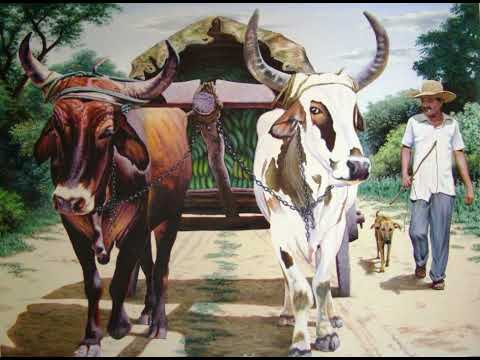 Tema musical: El estanciero.