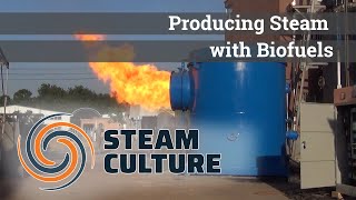 Producing Steam with Biofuels - Steam Culture