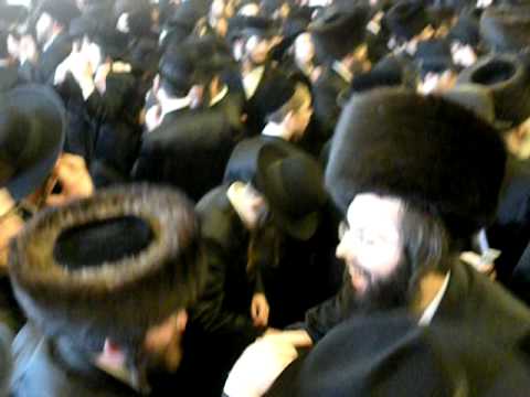 Amshinov wedding dancing madness